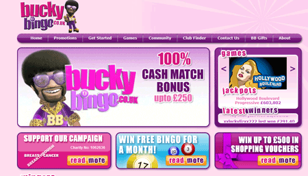 Bucky Bingo skjermbilde